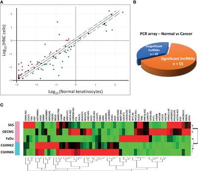 Systematic Analysis and Identification of Dysregulated Panel lncRNAs Contributing to Poor Prognosis in Head-Neck Cancer